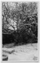 J.E.H. and wife Joan MacDonald, photographers
West Indies, Spring 1932
11.5 x 7 cm; image: 10…