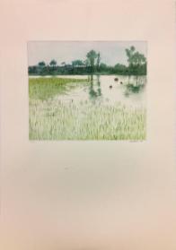 From Tom Thomson