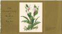 A.J. Casson (1898 - 1992)
With Christmas Greetings and Best Wishes for the New Year / Lady Sli…