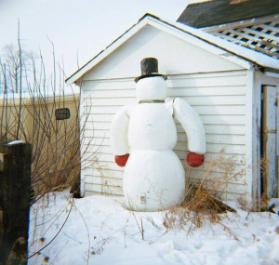 Snowman (study from the Niagara series)