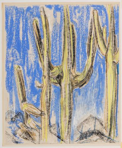 Desert Plant
