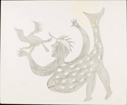 Drawing for print Taleelayo with Sea Bird