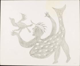 Drawing for print Taleelayo with Sea Bird