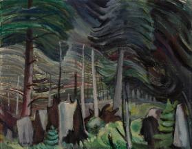 Photo Credit: Toni Hafkenscheid