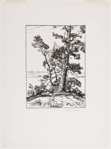 Photo Credit: Toni Hafkenscheid