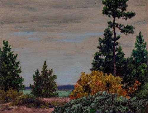 Photo Credit: Toni Hafkenscheid