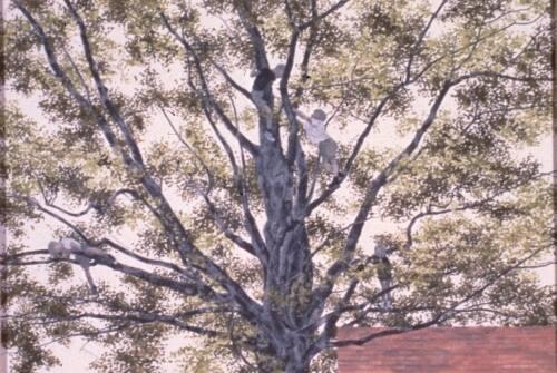 Alex Colville