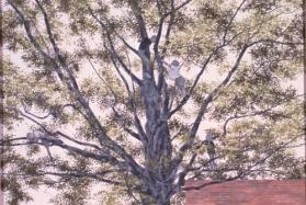 Children in a Tree