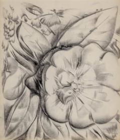 Photo Credit: Toni Hafkenscheid