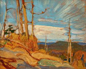 Photo Credit: Toni Hafkenscheid