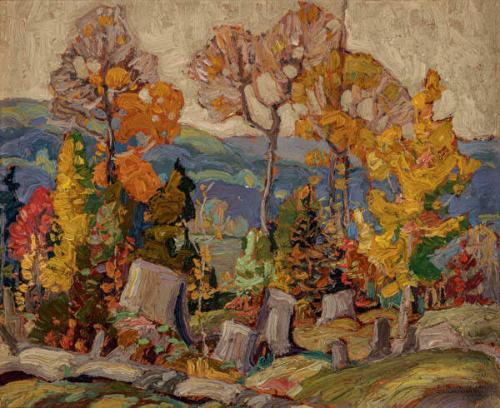 Photo Credit: Toni Hafkenscheid