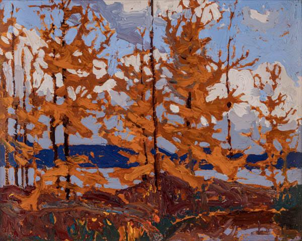 Photo Credit: Toni Hafkenscheid