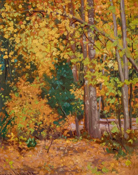 Photo Credit: Toni Hafkenscheid