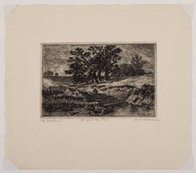 Photo Credit: Toni Hafkenscheid