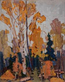 Photo Credit: Toni Hafkenscheid