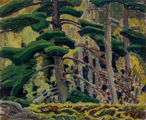 Photo Credit: Toni Hafkenscheid