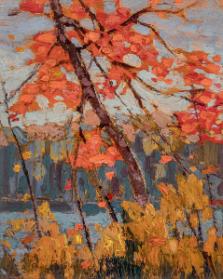 Photo Credit: Toni Hafkenscheid