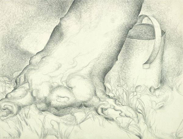 Tree Trunk