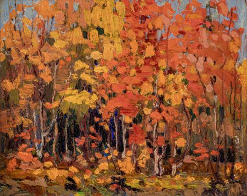 Photo Credit: Toni Hafkenscheid