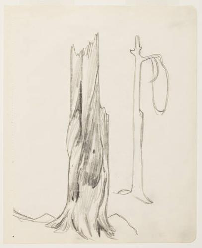 Photo Credit: Toni Hafkenscheid