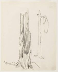 Photo Credit: Toni Hafkenscheid