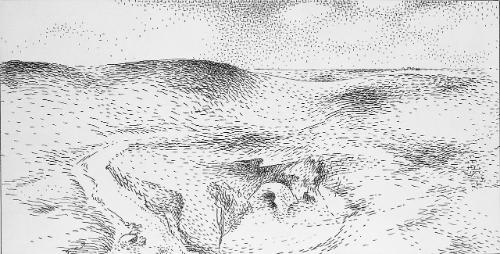 Prairie Landscape