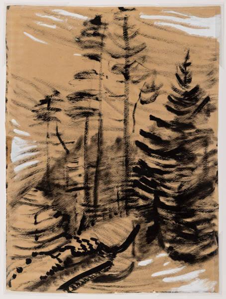 Photo Credit: Toni Hafkenscheid