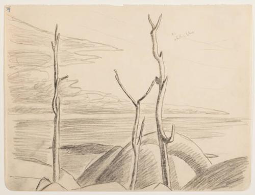 Photo Credit: Toni Hafkenscheid