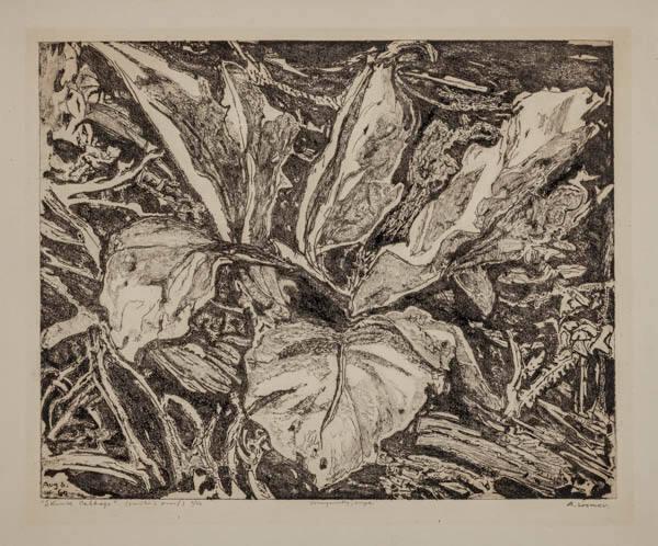 Photo Credit: Toni Hafkenscheid