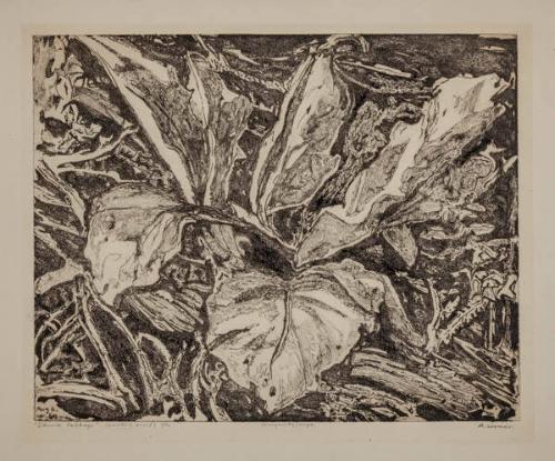 Photo Credit: Toni Hafkenscheid