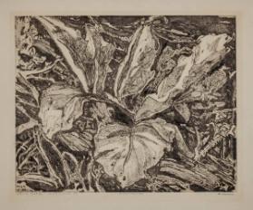 Photo Credit: Toni Hafkenscheid