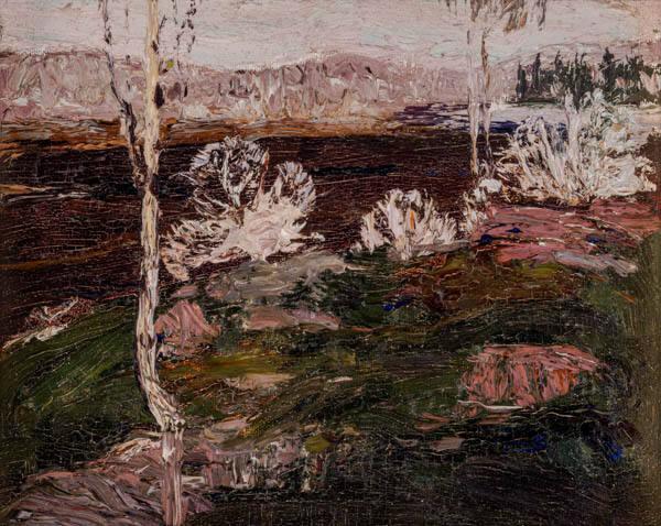 Photo Credit: Toni Hafkenscheid