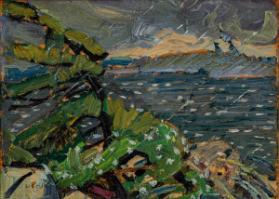 Photo Credit: Toni Hafkenscheid