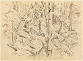 Untitled (trees, rocks) (R); Untitled (rough sketch - landscape) (V)
