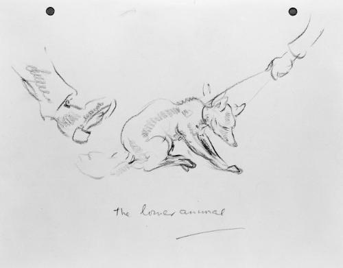 The Lower Animal