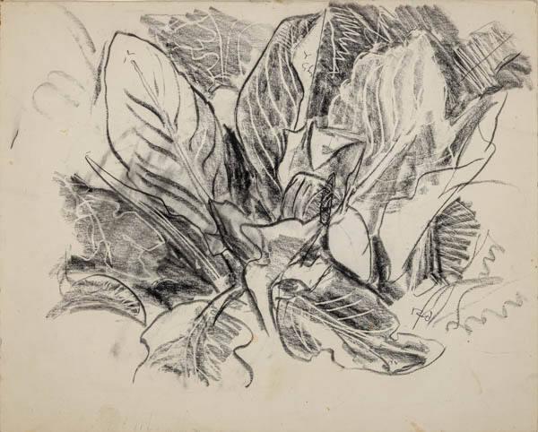 Photo Credit: Toni Hafkenscheid