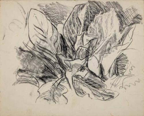 Photo Credit: Toni Hafkenscheid