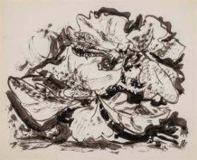 Photo Credit: Toni Hafkenscheid