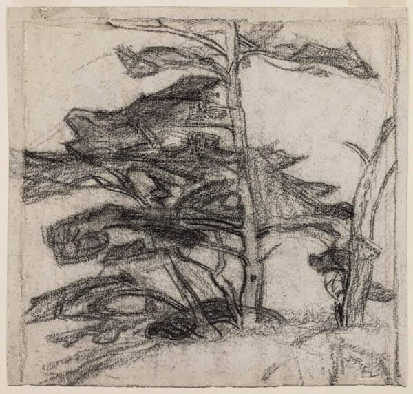 Photo Credit: Toni Hafkenscheid