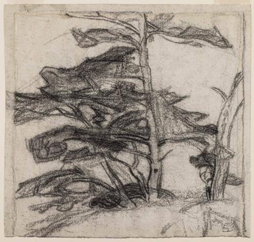 Photo Credit: Toni Hafkenscheid