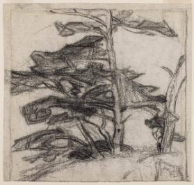 Photo Credit: Toni Hafkenscheid