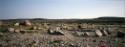 Unusual grassy area in Nurata.
Southwest Baffin Island, Nunavut, 1997

The Norman Hallendy C…