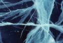 Pressure cracks in the sea ice. 
Pudla Inlet, Southwest Baffin Island, Nunavut, 1990

The No…
