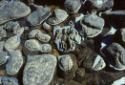 Rain pond past Tellik Island. 
Southwest Baffin Island, Nunavut, 1995

The Norman Hallendy C…