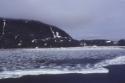 ARC-NH1989.1731