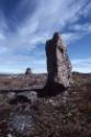 Inuksuit in the Ikpik River area. 
Central Baffin Island, Nunavut, 2002

The Norman Hallendy…