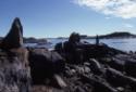 Inuksuit near Itilliarjuk. 
Southwest Baffin Island, Nunavut, 1989

The Norman Hallendy Coll…